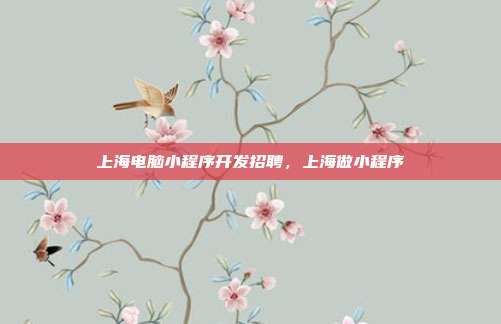 上海电脑小程序开发招聘,上海做小程序