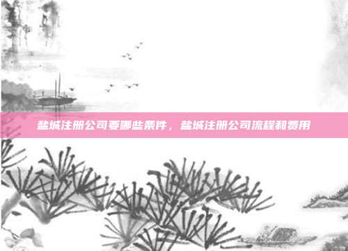 盐城注册公司要哪些条件，盐城注册公司流程和费用
