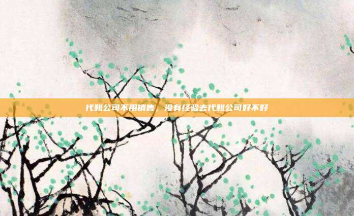 代账公司不用销售，没有经验去代账公司好不好