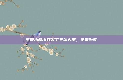 芙蓉小程序开发工具怎么用，芙蓉游戏